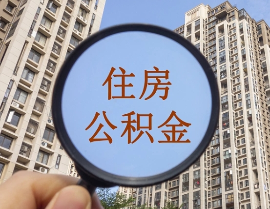 湖州退休后查不到公积金明细了吗（退休后公积金查询不到原因）